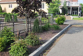 Plantation d’arbres et de haies