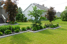 Plantation d’arbres et de haies